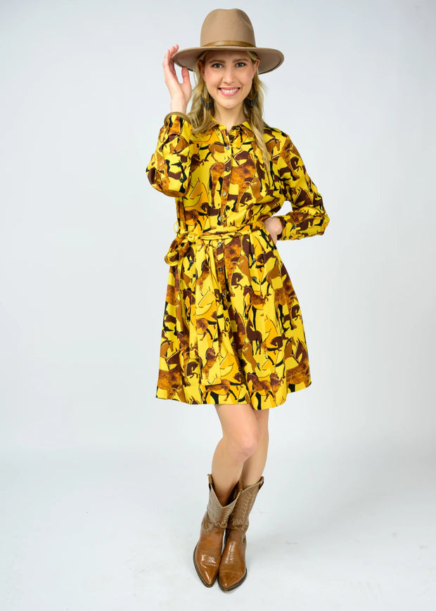 Ivy Jane Saddle Up Dress