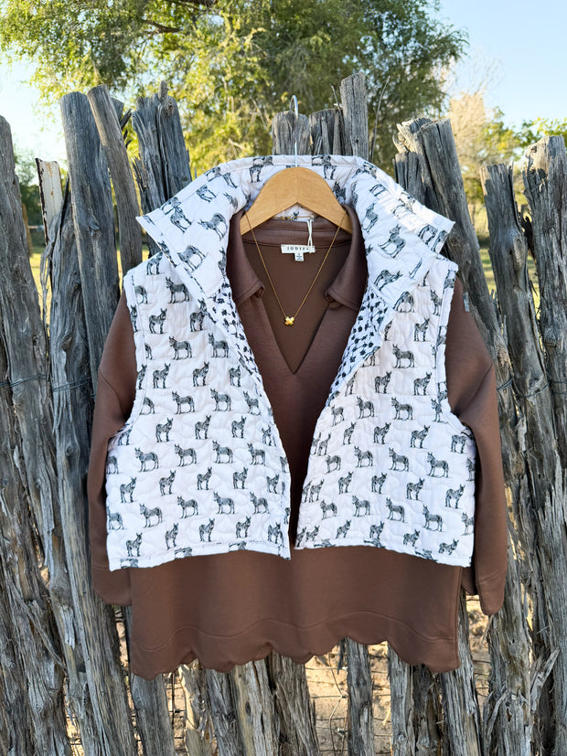 The Iconic Donkey Vest