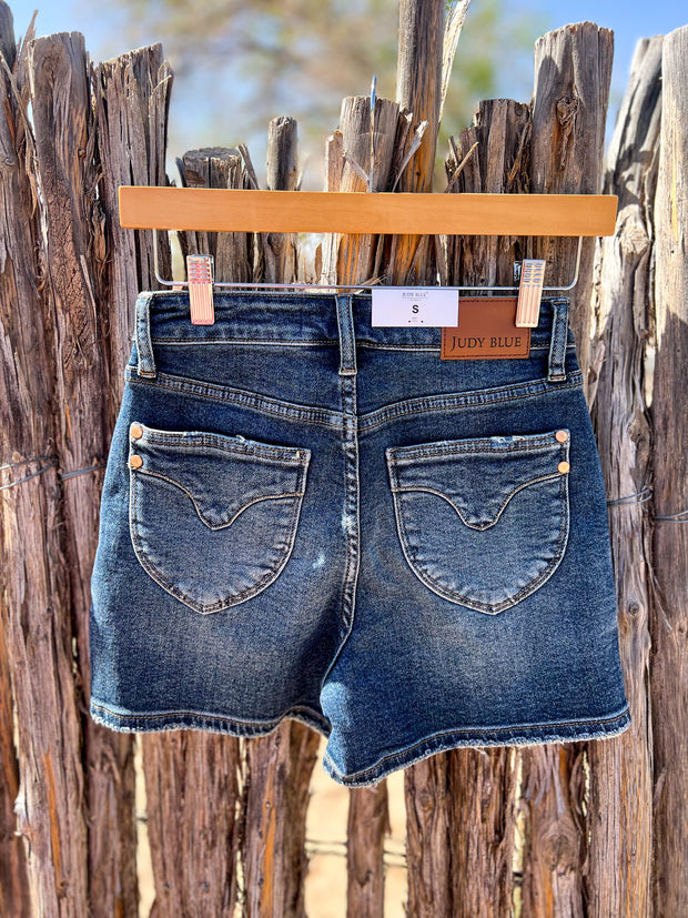 Judy Blue High Waist Shield Back Pocket Shorts – Qué Cute Style
