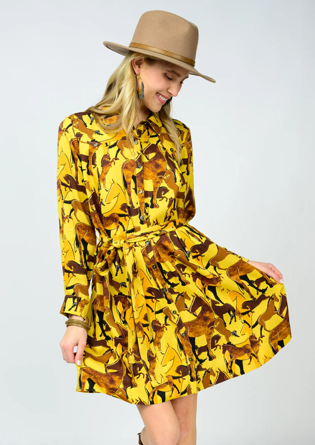 Ivy Jane Saddle Up Dress