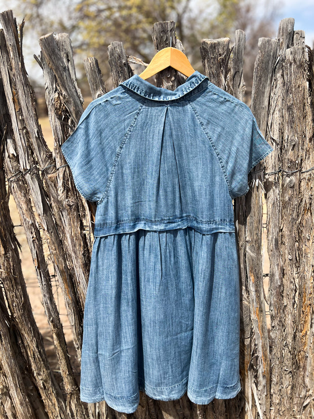 ivy jane denim dress Ivy Jane Denim Shirtdress