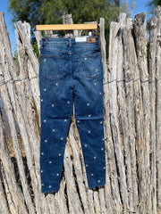 Judy Blue Rockstar Skinny Jeans